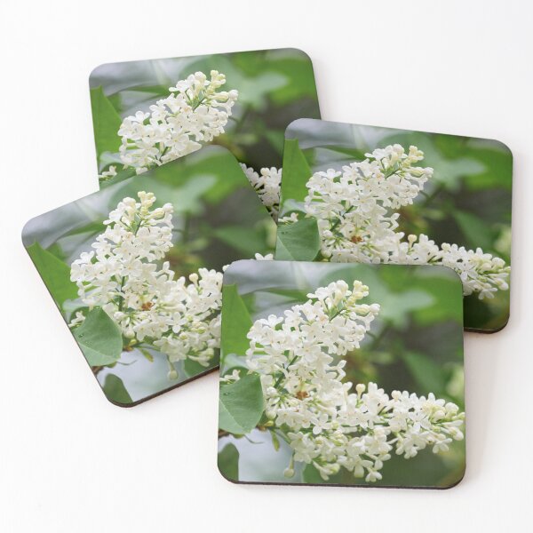 Item preview, White lilac 2026 designed and sold by Jouko Lehto Photography.