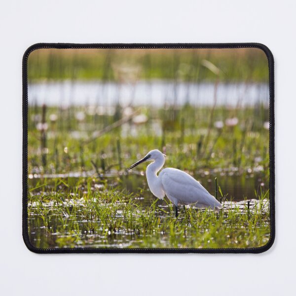 Item preview, Little Egret in the Thamalakane designed and sold by Adrian Peacock Nature and Wildlife.