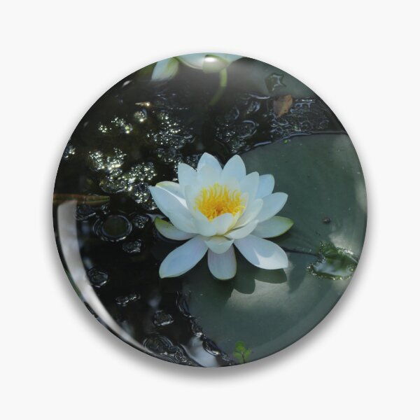 Item preview, White water Lily floating on a peaceful pond - Soft nature photography designed and sold by Cha-s-lens.