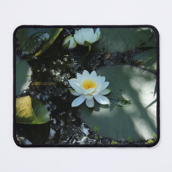 Item preview, White water Lily floating on a peaceful pond - Soft nature photography designed and sold by Cha-s-lens.
