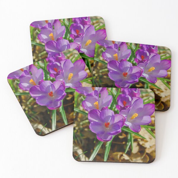 Item preview, Vibrant Cluster of Purple Crocus Flowers designed and sold by ShotsbyDesiree.