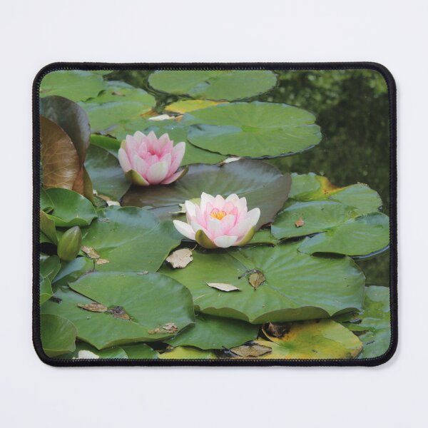 Item preview, Pink water lily pad - Soft nature photography designed and sold by Cha-s-lens.