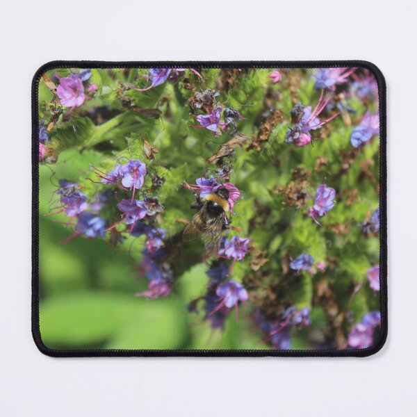 Item preview, Bumblebee gathering nectar on purple wildflowers - Soft nature photography designed and sold by Cha-s-lens.