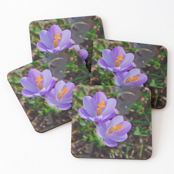 Item preview, Beautiful Pair of Purple Crocus Flowers designed and sold by ShotsbyDesiree.