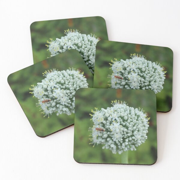 Item preview, White allium flower with red bettles macro - Soft nature photography designed and sold by Cha-s-lens.