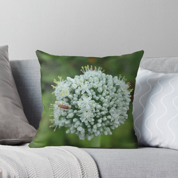 Item preview, White allium flower with red bettles macro - Soft nature photography designed and sold by Cha-s-lens.