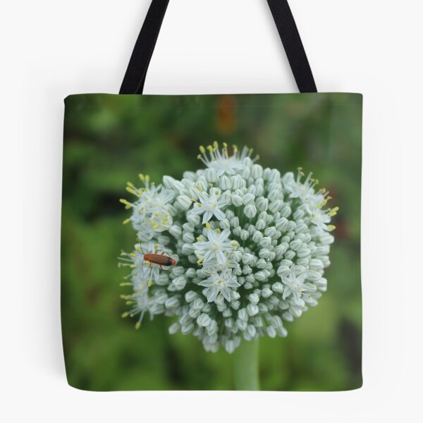 Item preview, White allium flower with red bettles macro - Soft nature photography designed and sold by Cha-s-lens.