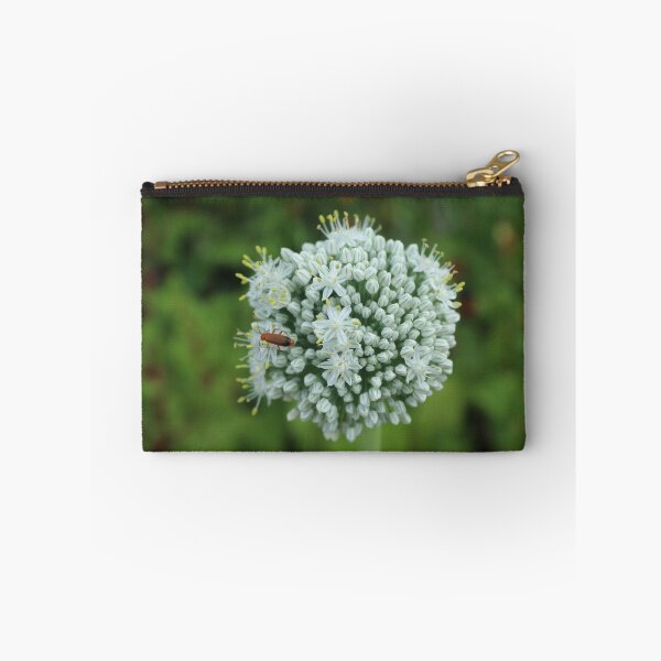 Item preview, White allium flower with red bettles macro - Soft nature photography designed and sold by Cha-s-lens.