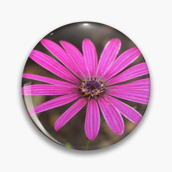 Item preview, Bright pink daisy bloom | Vibrant floral nature photography designed and sold by Cha-s-lens.