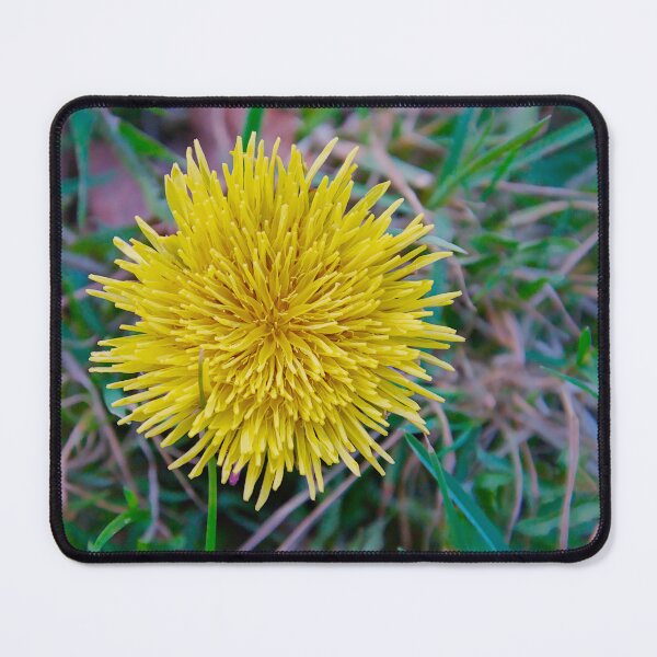 Item preview, Top View of Yellow Dandelion Flower designed and sold by ShotsbyDesiree.