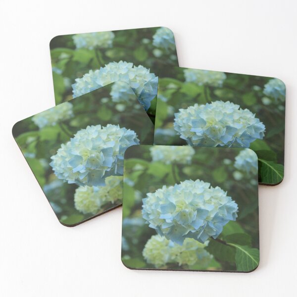 Item preview, Soft blue hydrangea blossom | Peaceful botanical photography designed and sold by Cha-s-lens.