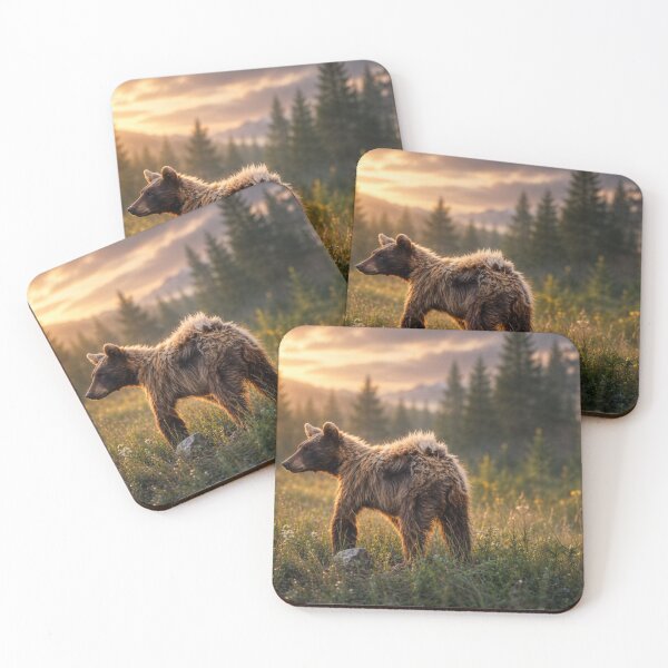 Item preview, Golden Hour Young Black Bear | Cinematic Wildlife Photography designed and sold by Kimberly Palmer.