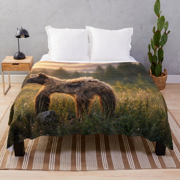 Item preview, Golden Hour Young Black Bear | Cinematic Wildlife Photography designed and sold by Kimberly Palmer.
