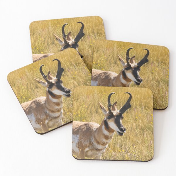 Item preview, Golden Prairie Sentinel – Pronghorn Wildlife Portrait designed and sold by Kimberly Palmer.