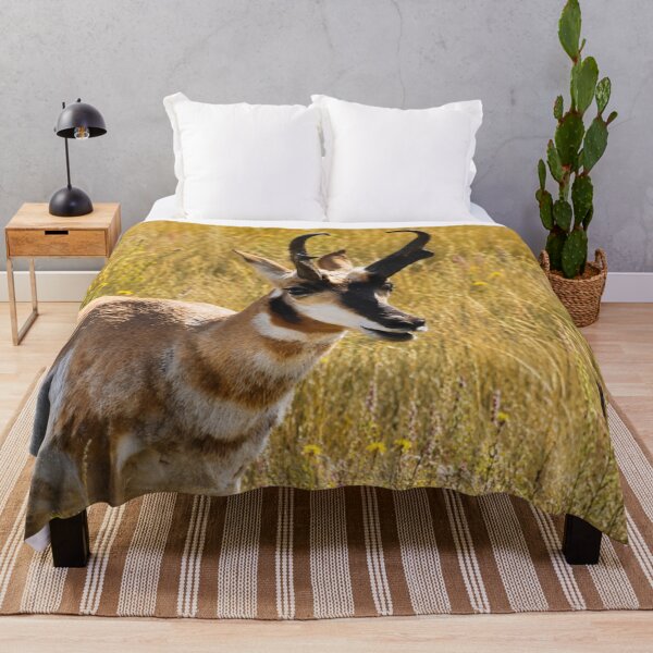 Item preview, Golden Prairie Sentinel – Pronghorn Wildlife Portrait designed and sold by Kimberly Palmer.