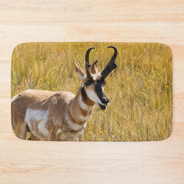 Item preview, Golden Prairie Sentinel – Pronghorn Wildlife Portrait designed and sold by Kimberly Palmer.