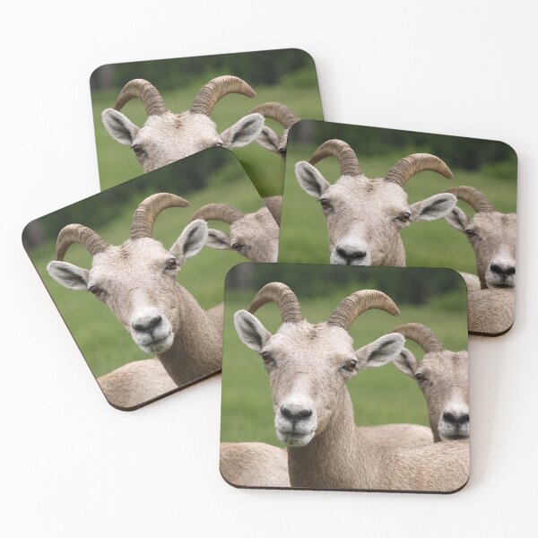 Item preview, Curious Bighorn Sheep Portrait designed and sold by Kimberly Palmer.