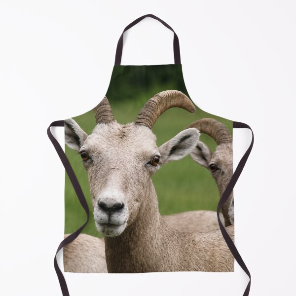 Item preview, Curious Bighorn Sheep Portrait designed and sold by Kimberly Palmer.