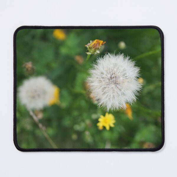 Item preview, Dandelion in a Wildflower Meadow | Macro Nature Photography designed and sold by pigeonlovrs.