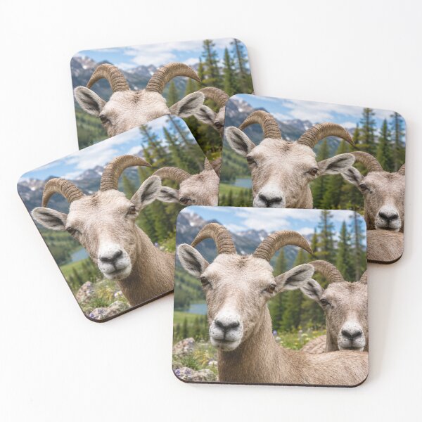 Item preview, Bighorn Sheep in an Alpine Mountain Meadow designed and sold by Kimberly Palmer.