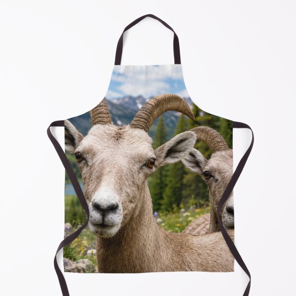 Item preview, Bighorn Sheep in an Alpine Mountain Meadow designed and sold by Kimberly Palmer.
