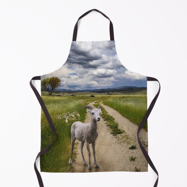 Item preview, Storm Watch on the Prairie | Young Bighorn Sheep Landscape designed and sold by Kimberly Palmer.