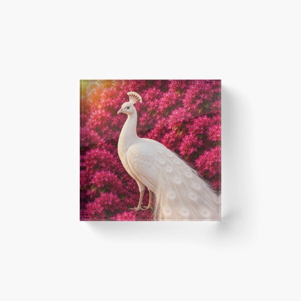 Item preview, Elegant White Peacock in Bloom designed and sold by Rohan132.