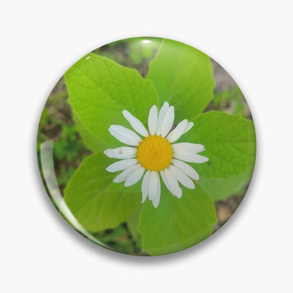 Item preview, English Daisy designed and sold by Lunar Bound Imagery .