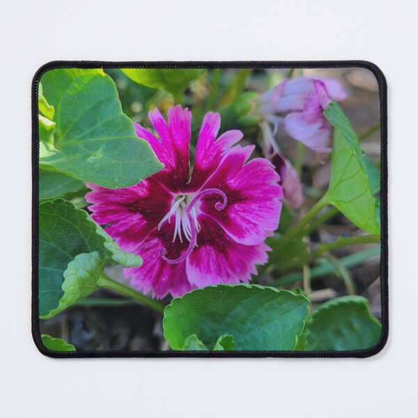 Item preview, Pink Ya Later! designed and sold by Lunar Bound Imagery .