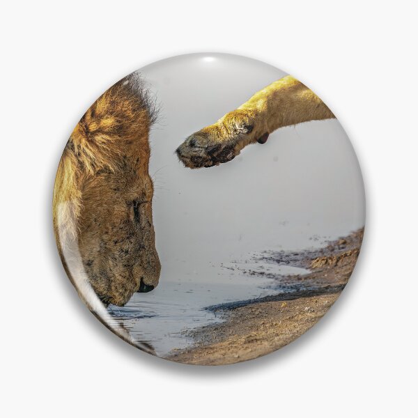 Item preview, Lion Affection designed and sold by Kay Brewer.