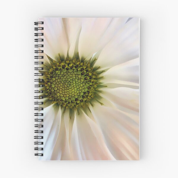 Item preview, White Pom Pom Daisy Close-Up designed and sold by Jessica Jenney.