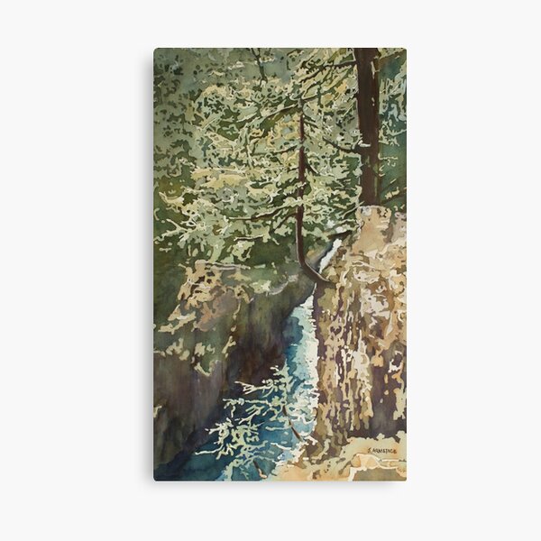 Hanging Out at Opal Creek Canvas Print