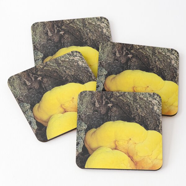 Item preview, Vibrant Chicken of the Woods Mushroom Photography designed and sold by wanderingkayla.