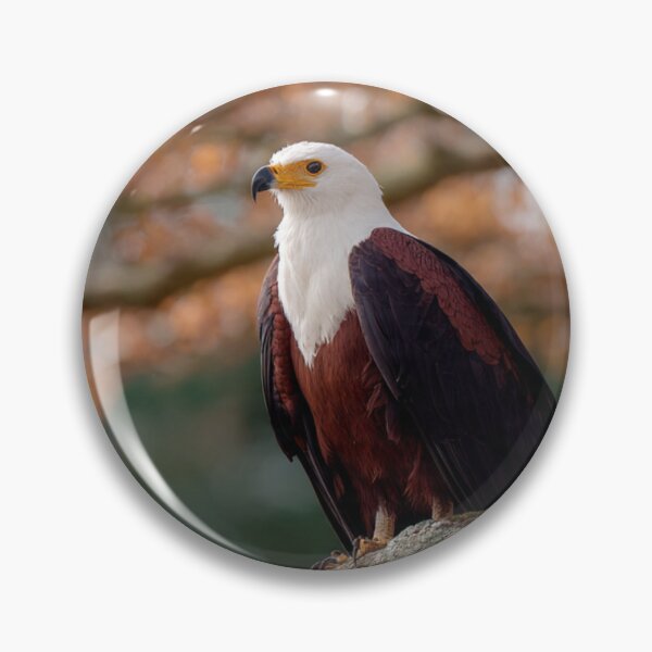 Item preview, African Fish Eagle at Golden Perch | Majestic Wildlife Bird Art designed and sold by TreatLLC.