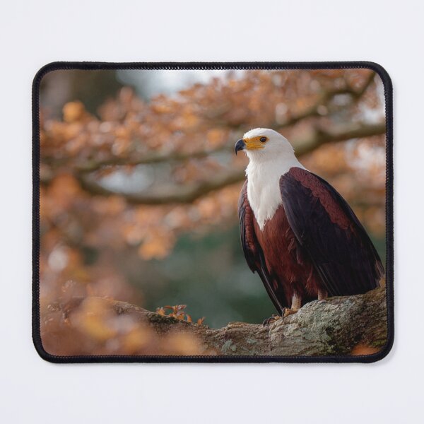 Item preview, African Fish Eagle at Golden Perch | Majestic Wildlife Bird Art designed and sold by TreatLLC.