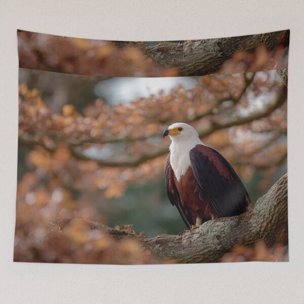 Item preview, African Fish Eagle at Golden Perch | Majestic Wildlife Bird Art designed and sold by TreatLLC.