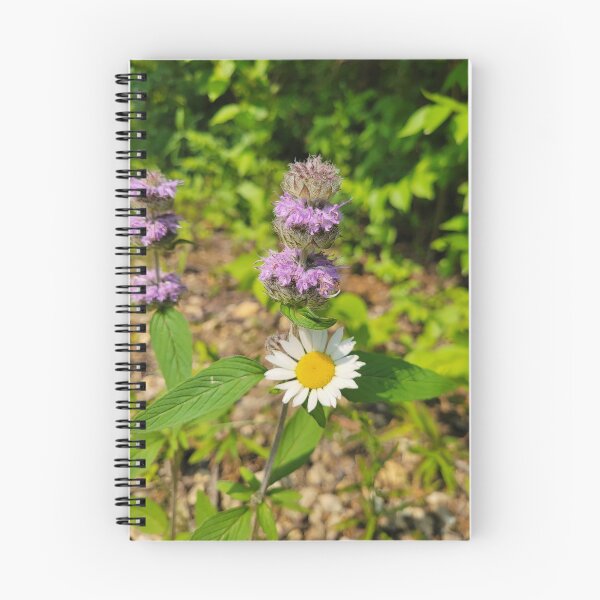 Item preview, Native flowers to rhe Midwest  designed and sold by Lunar Bound Imagery .