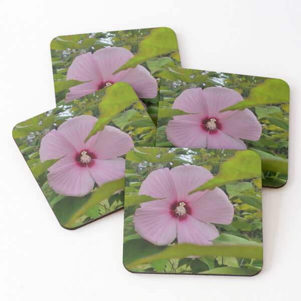 Item preview, Pink Hibiscus  designed and sold by Lunar Bound Imagery .