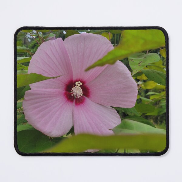 Item preview, Pink Hibiscus  designed and sold by Lunar Bound Imagery .