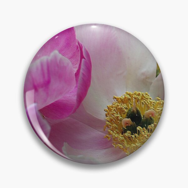 Item preview, Chinese Peony Beauties! designed and sold by BostonArcImage.