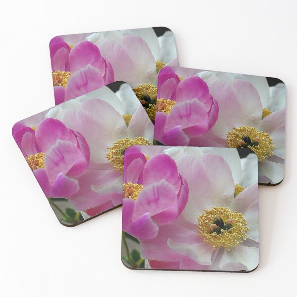Item preview, Chinese Peony Beauties! designed and sold by BostonArcImage.