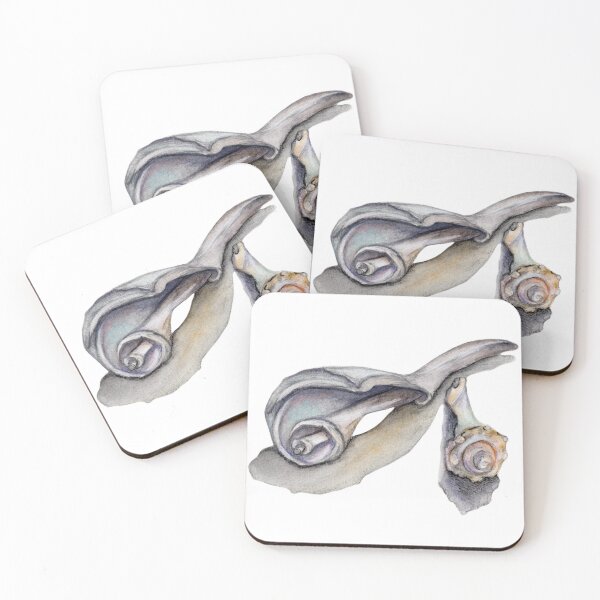 Item preview, Coastal Shell Watercolor Illustration designed and sold by Imagine Bee Studio.