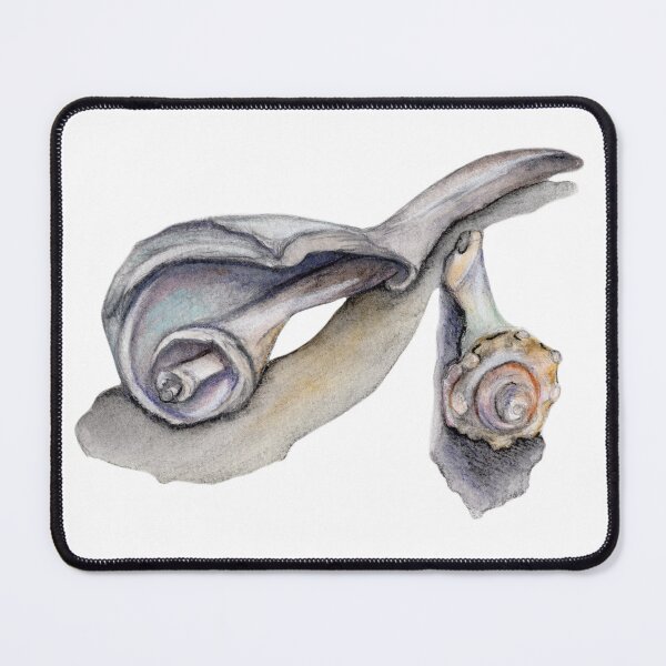 Item preview, Coastal Shell Watercolor Illustration designed and sold by Imagine Bee Studio.