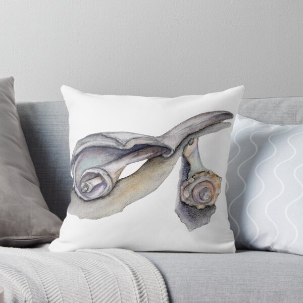 Item preview, Coastal Shell Watercolor Illustration designed and sold by Imagine Bee Studio.