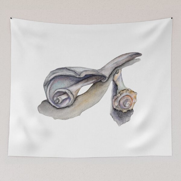 Item preview, Coastal Shell Watercolor Illustration designed and sold by Imagine Bee Studio.