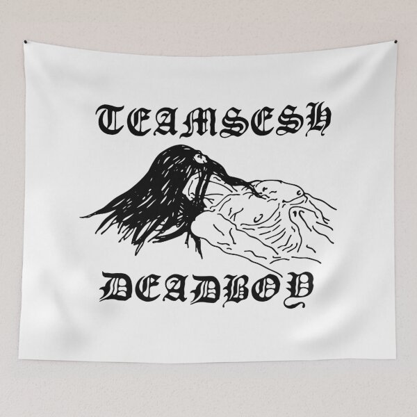 Aperçu de l'œuvre CROQUIS DE TEAMSESH DEADBOY créée et vendue par jason tully.