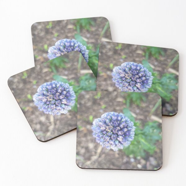 Item preview, Blue Globe Thistle Flower Close Up in Bloom with Natural Garden Background designed and sold by PhuongVoArt.