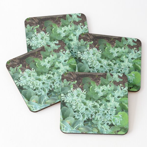 Item preview, Green Sedum Plant with Fresh Foliage in a Garden Close Up designed and sold by PhuongVoArt.