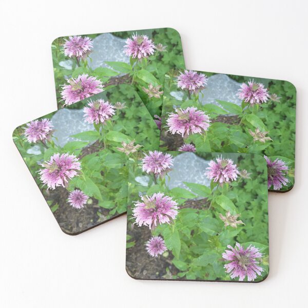 Item preview, Pink Bee Balm Flowers Blooming in a Summer Garden designed and sold by PhuongVoArt.