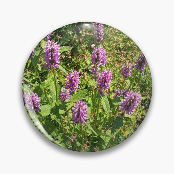 Item preview, Purple Betony Wildflowers Blooming in a Sunny Garden designed and sold by PhuongVoArt.